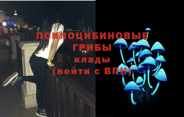 прущая мука Бородино