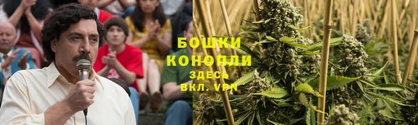прущая мука Бородино