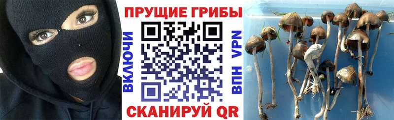 darknet как зайти  ОМГ ОМГ зеркало  Фёдоровский  продажа наркотиков  Галлюциногенные грибы MAGIC MUSHROOMS 
